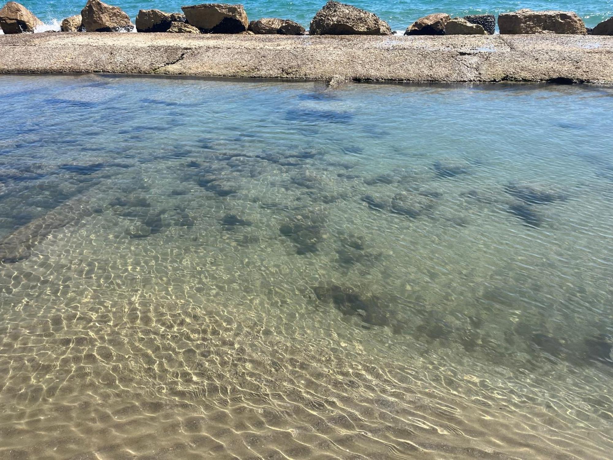Il Cavalluccio Anzio Exterior foto